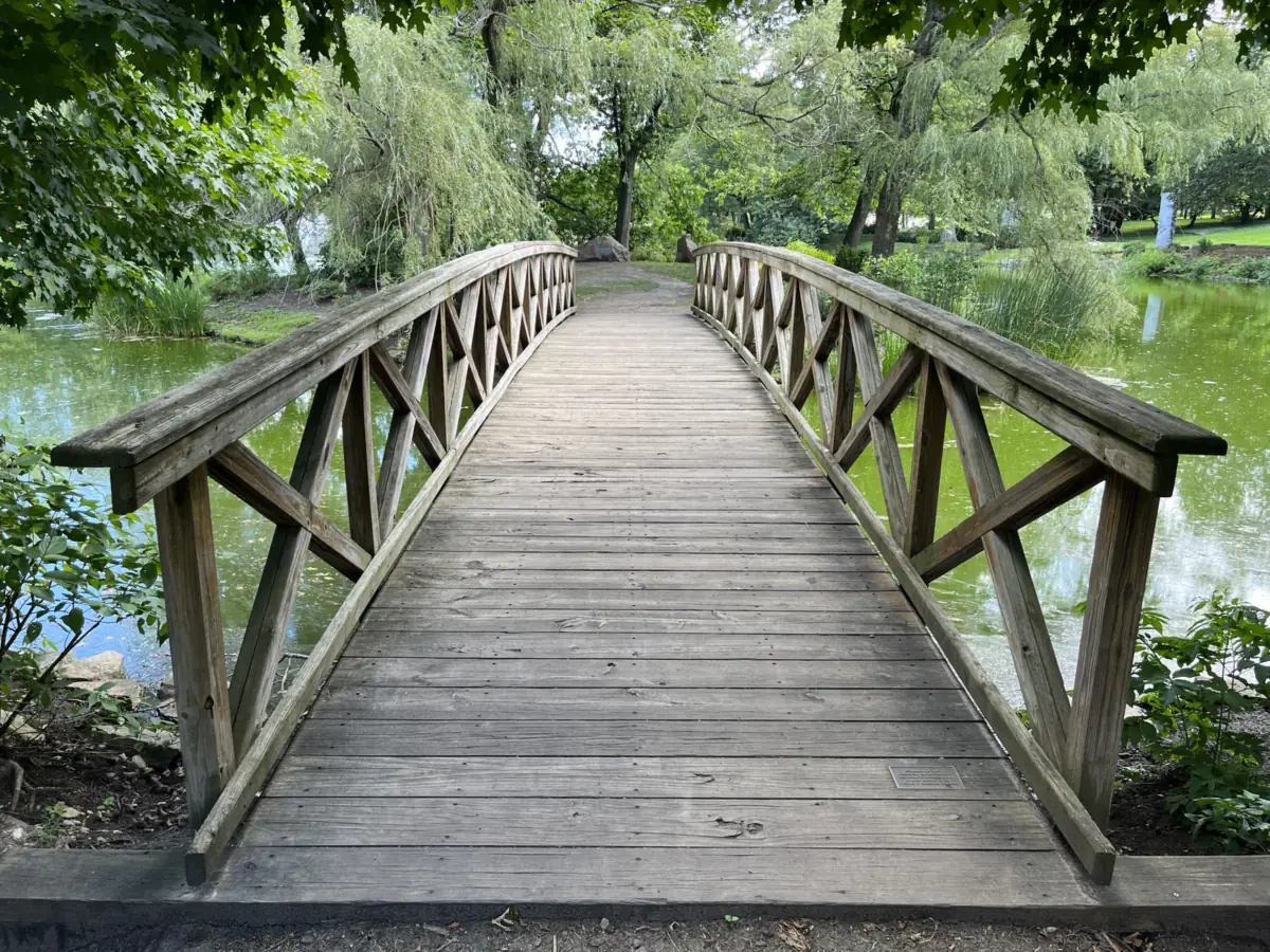 Footbridge and willow-lined pond inside Graceland Cemetery on the west edge of Buena Park, Chicago