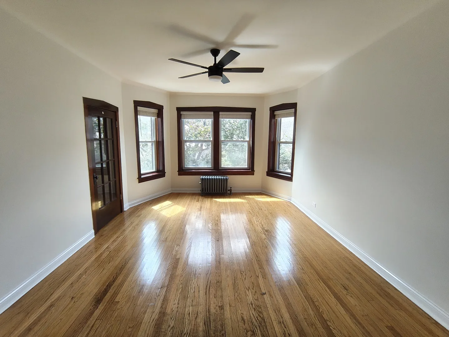 Empty living room with hardwood floors, a ceiling fan and a bank of windows in a renovated Rogers Park 2-bedroom apartment