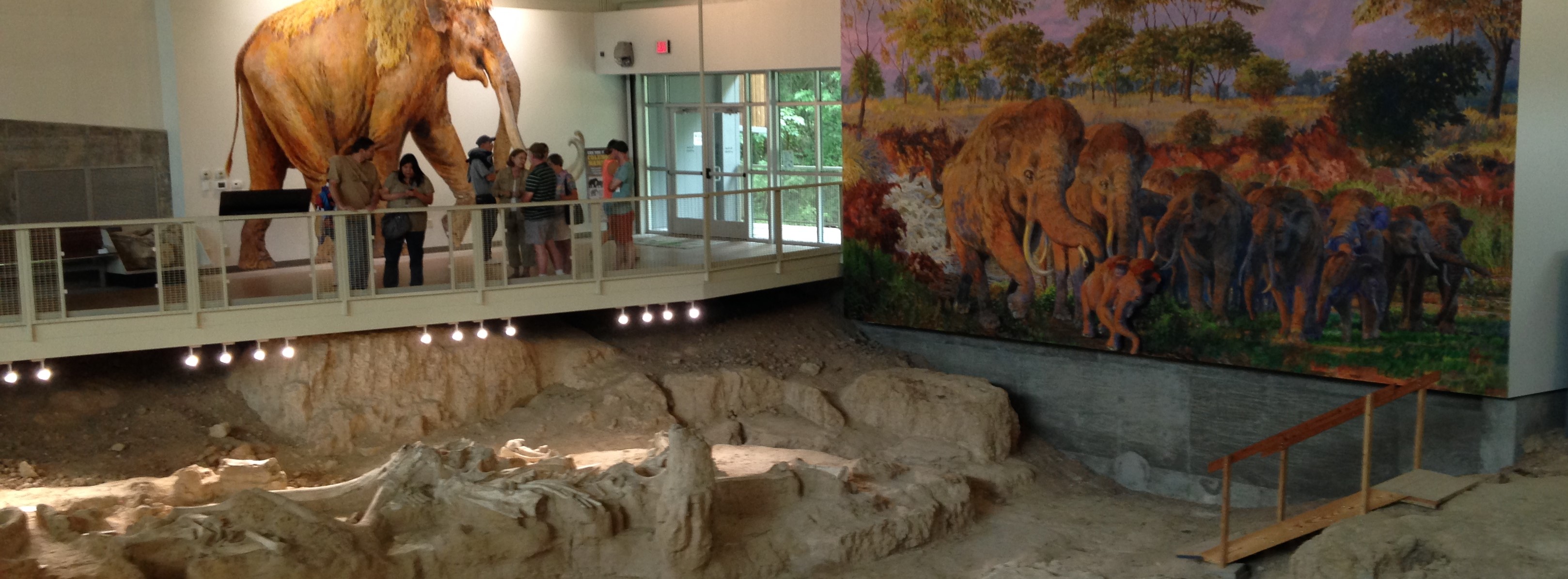 Waco Mammoth Site