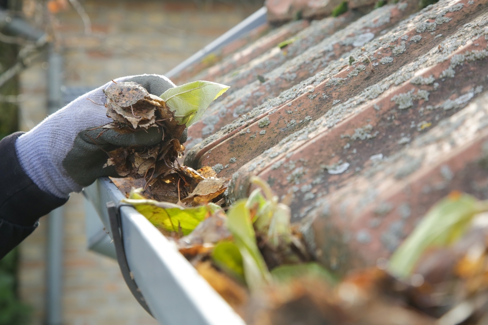 Cleaning the gutter