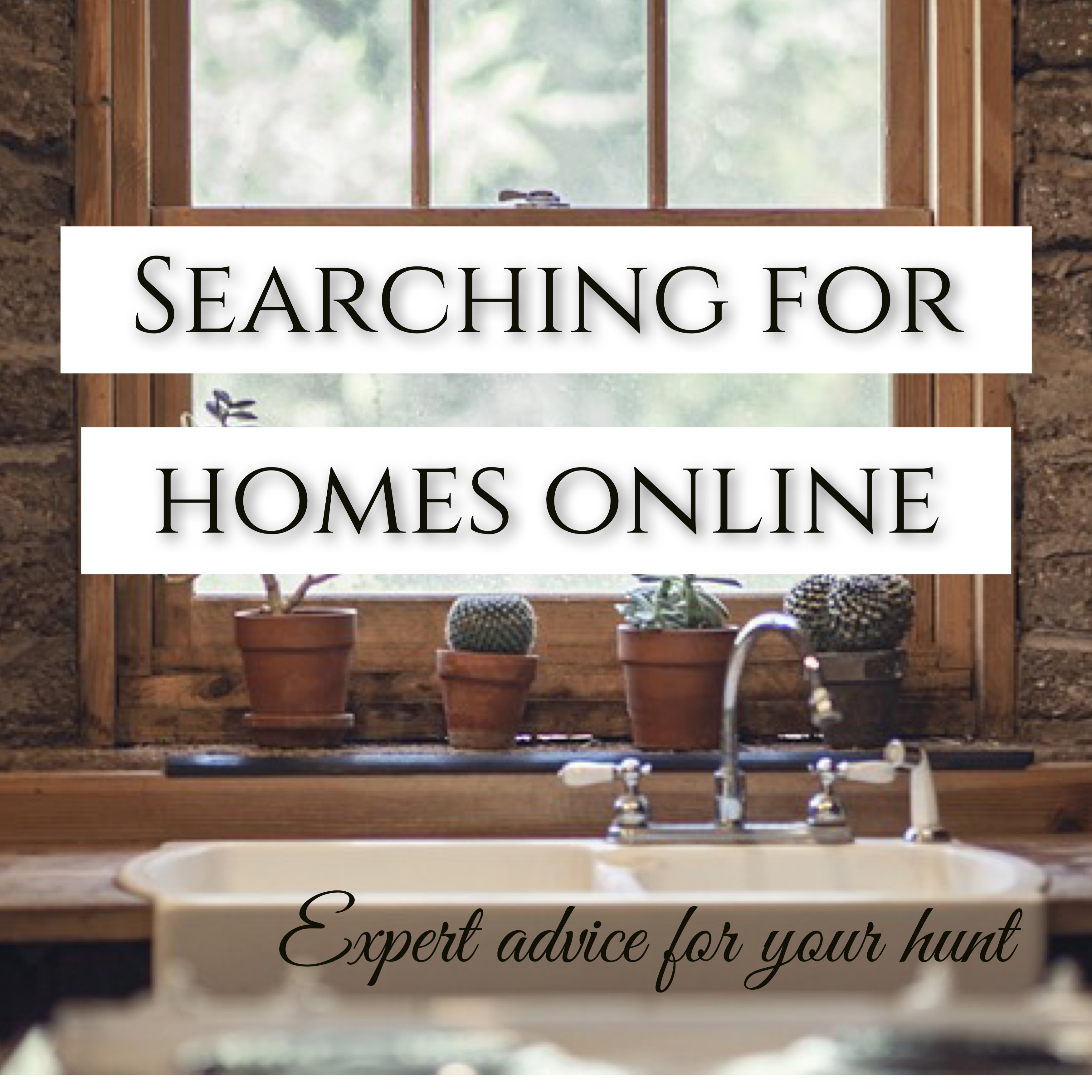 Searching For Homes Online 