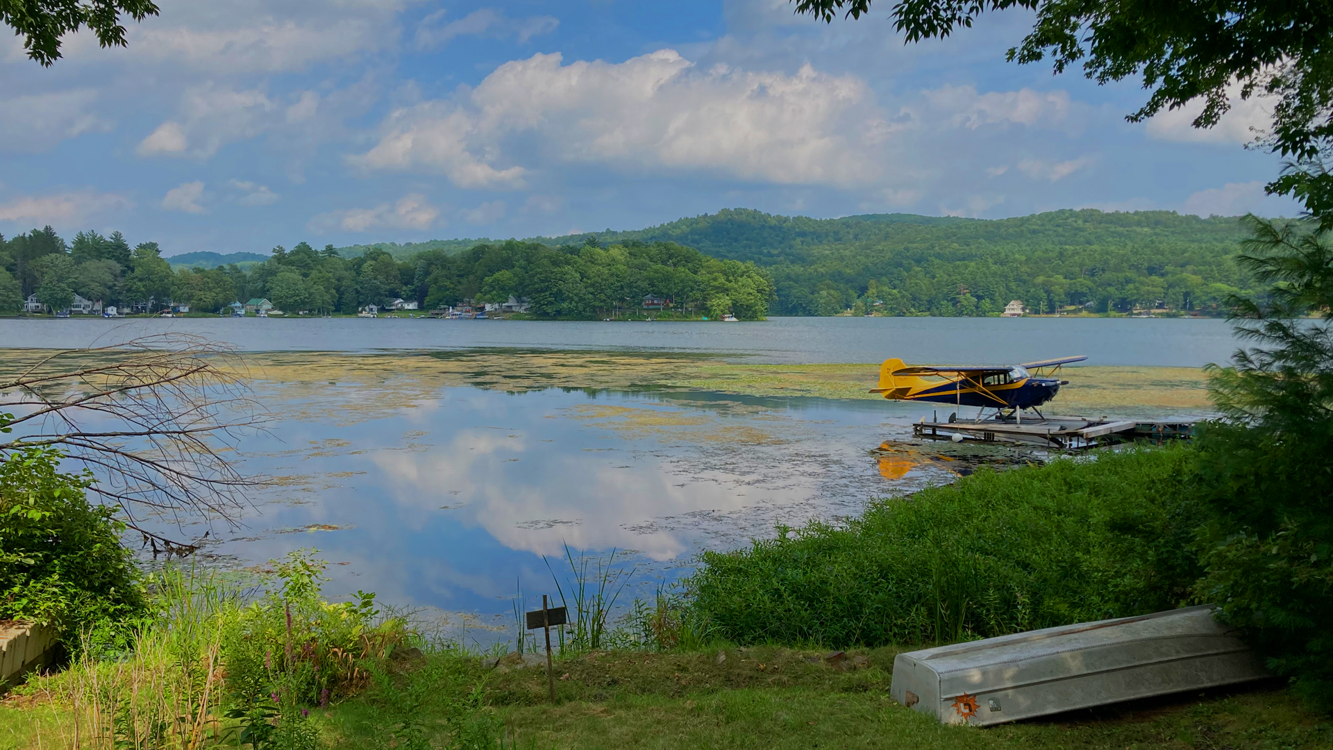 Real estate expertise in lakefront property