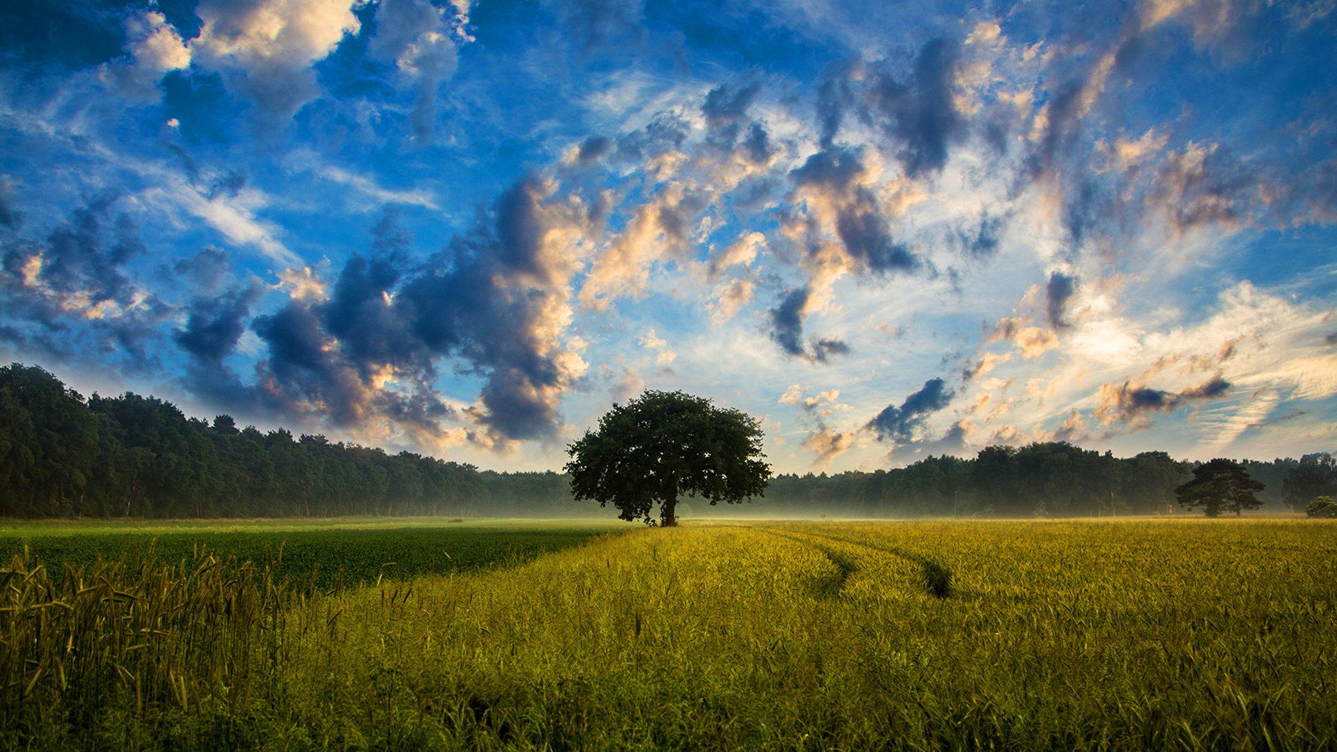 Real estate expertise in Washington County home sales