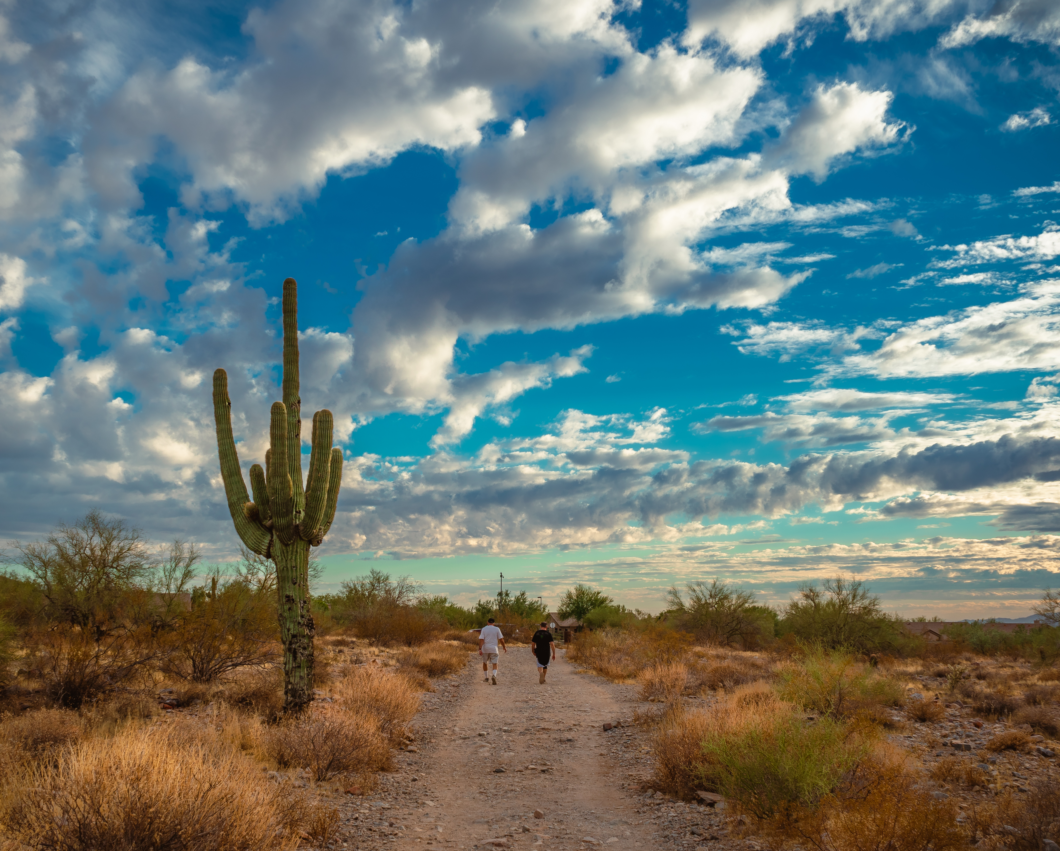 McDowell Sonoran Preserve McDowell Sonoran Preserve