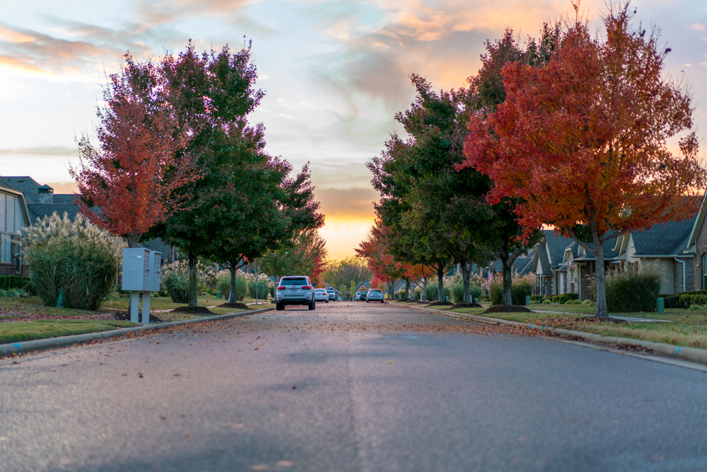 Tree-lined suburban street