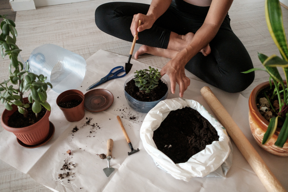 eco-friendly-garden eco-friendly garden