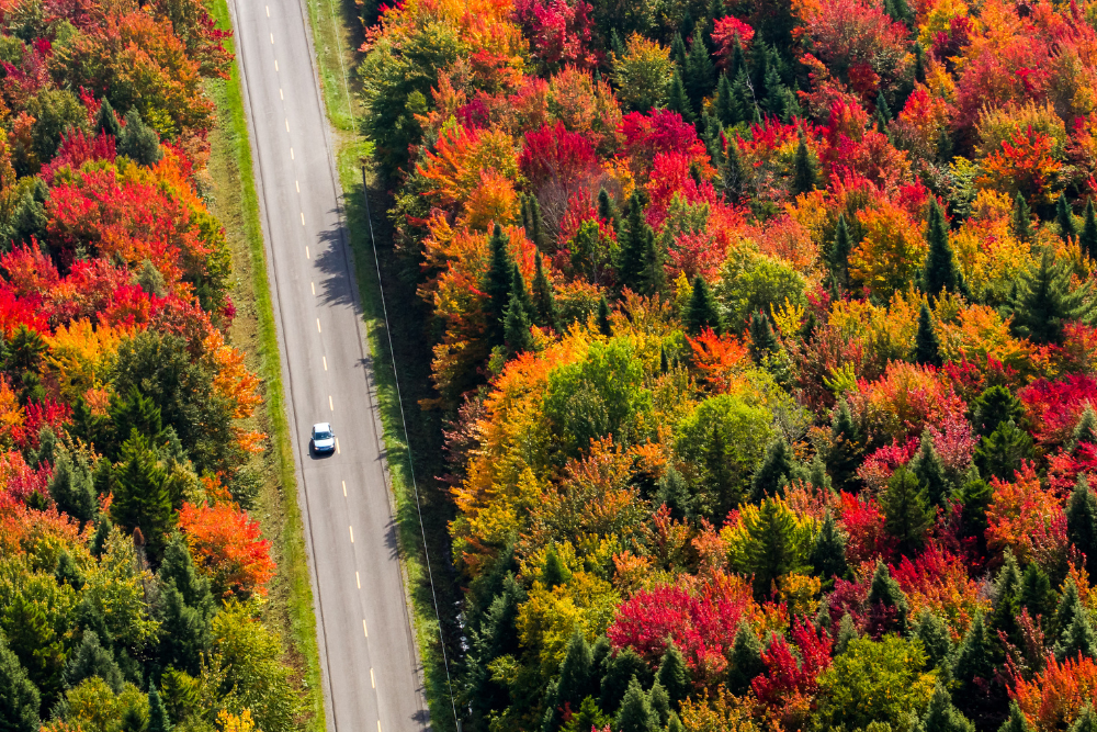 Off-the-Beaten-Path Southern Escapes
