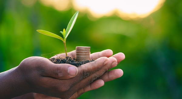 Saving for a Down Payment?  Here's What You Should Know.