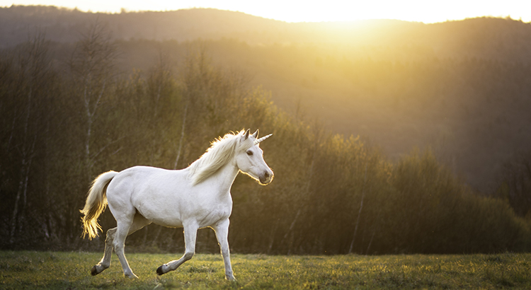 Today's Real Estate Market: The "Unicorns" Have Galloped Off