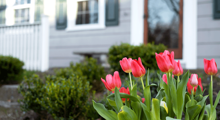 Spring Sellers Have an Edge.  Here's Why.