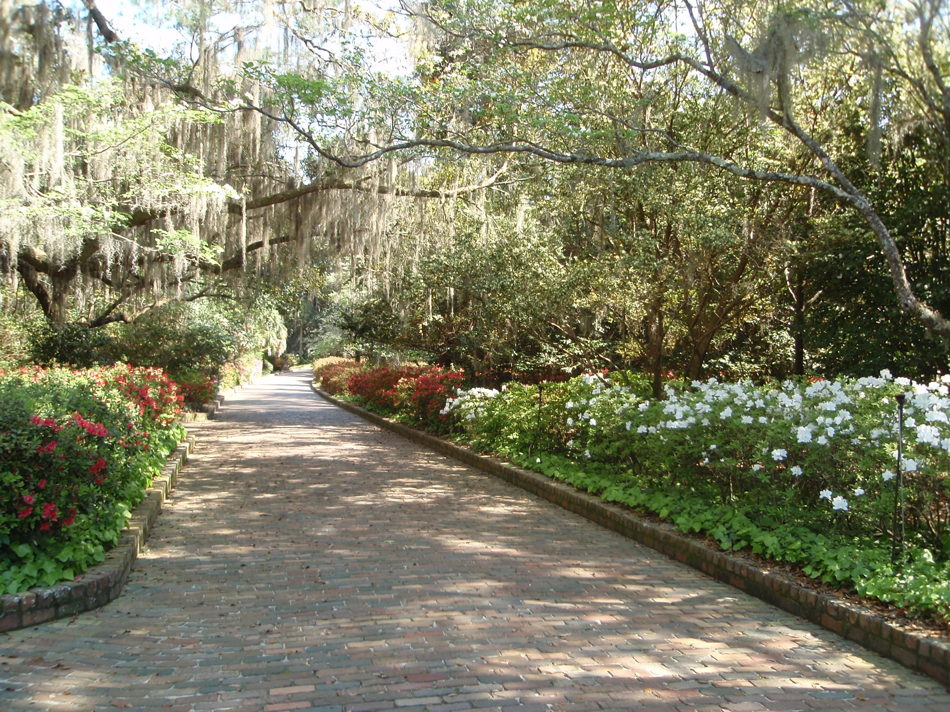 Alfred B Maclay Gardens State Park