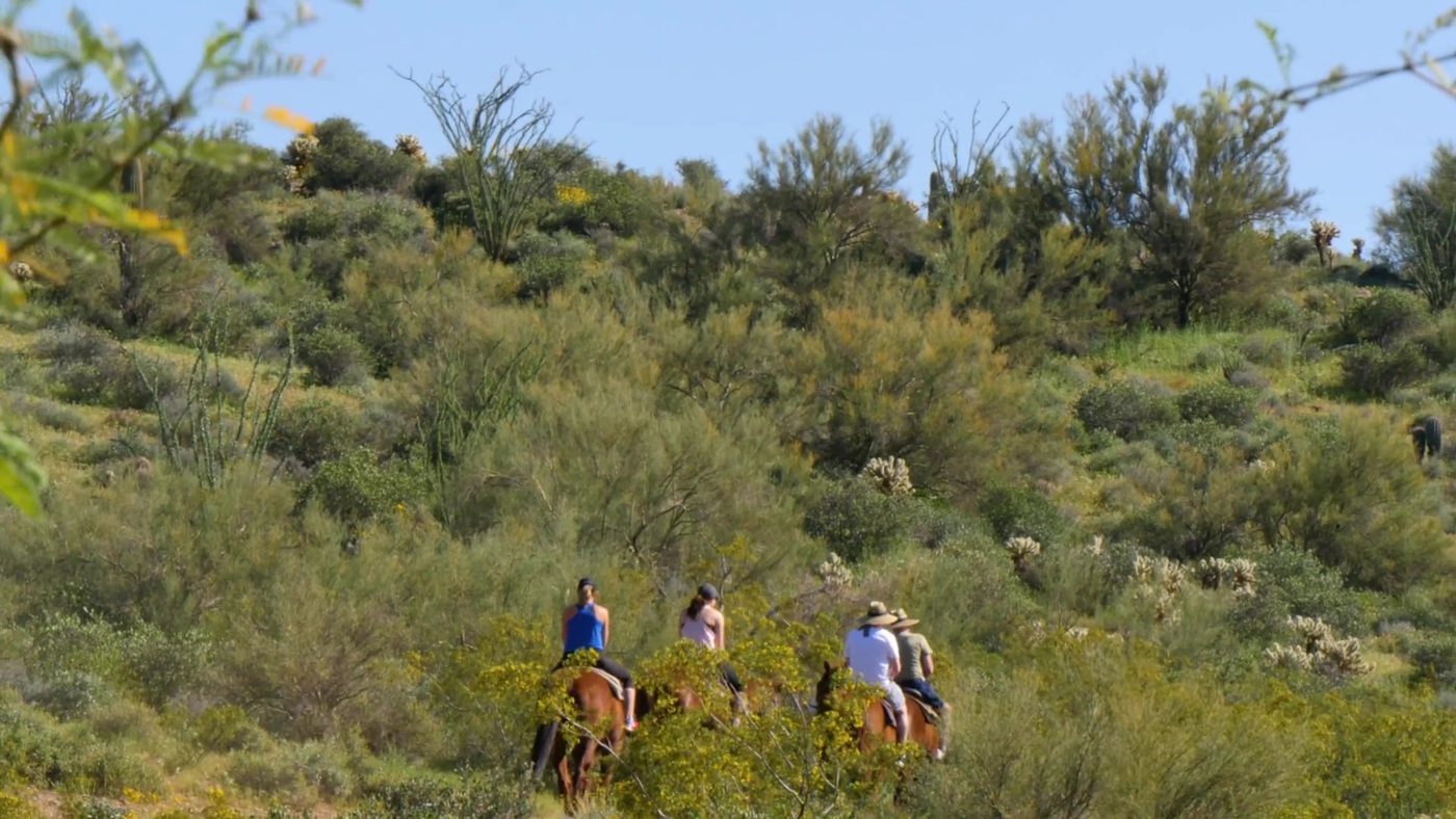 Riders on horseback on a desert trail near Cave Creek