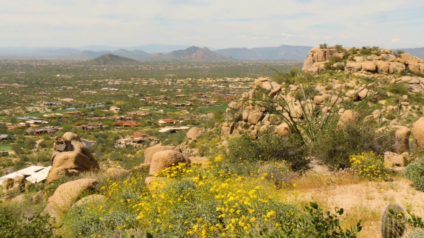 Granite boulders and wildflowers in the North Scottsdale desert