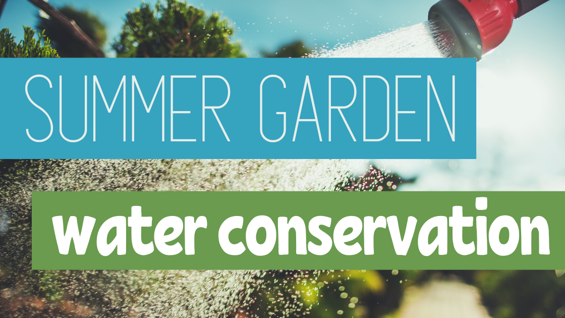 Summer Water Conservation