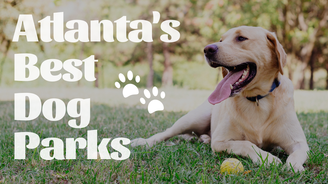 Atlanta’s Best Local Dog Parks