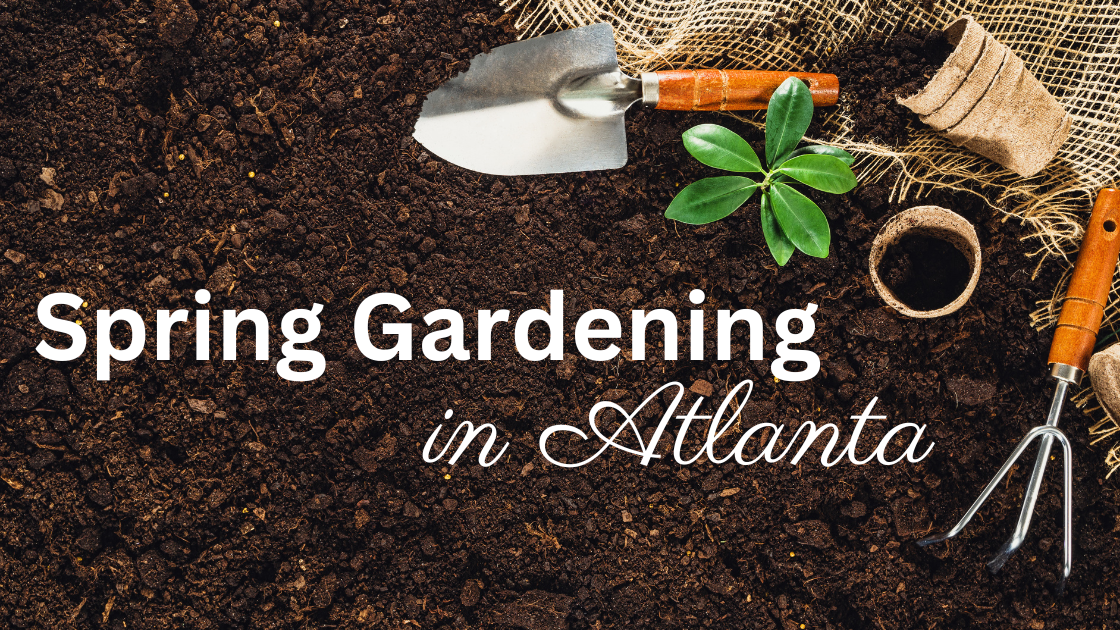 Spring Gardening Tips
