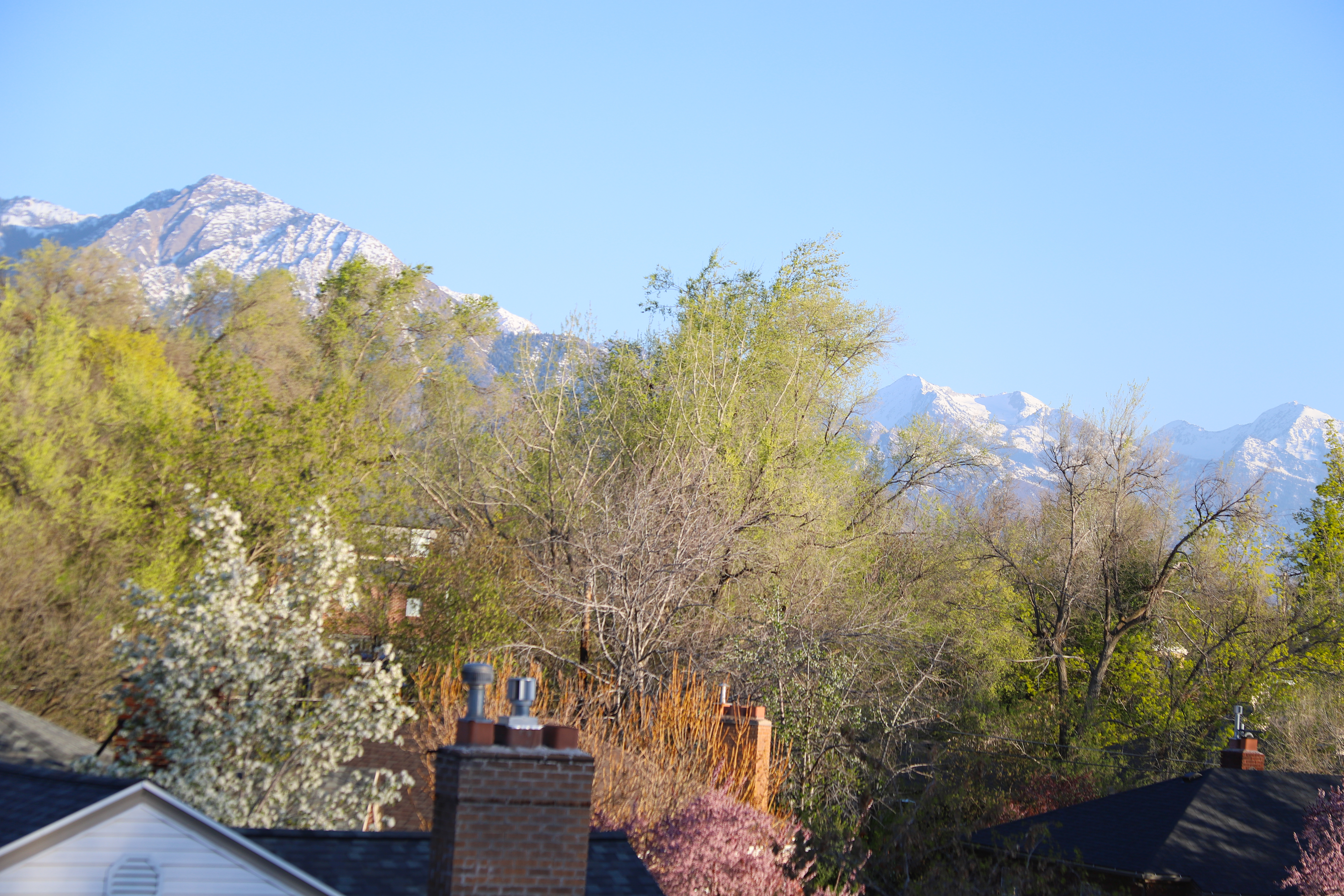 15th and 15th neighborhood in salt lake city