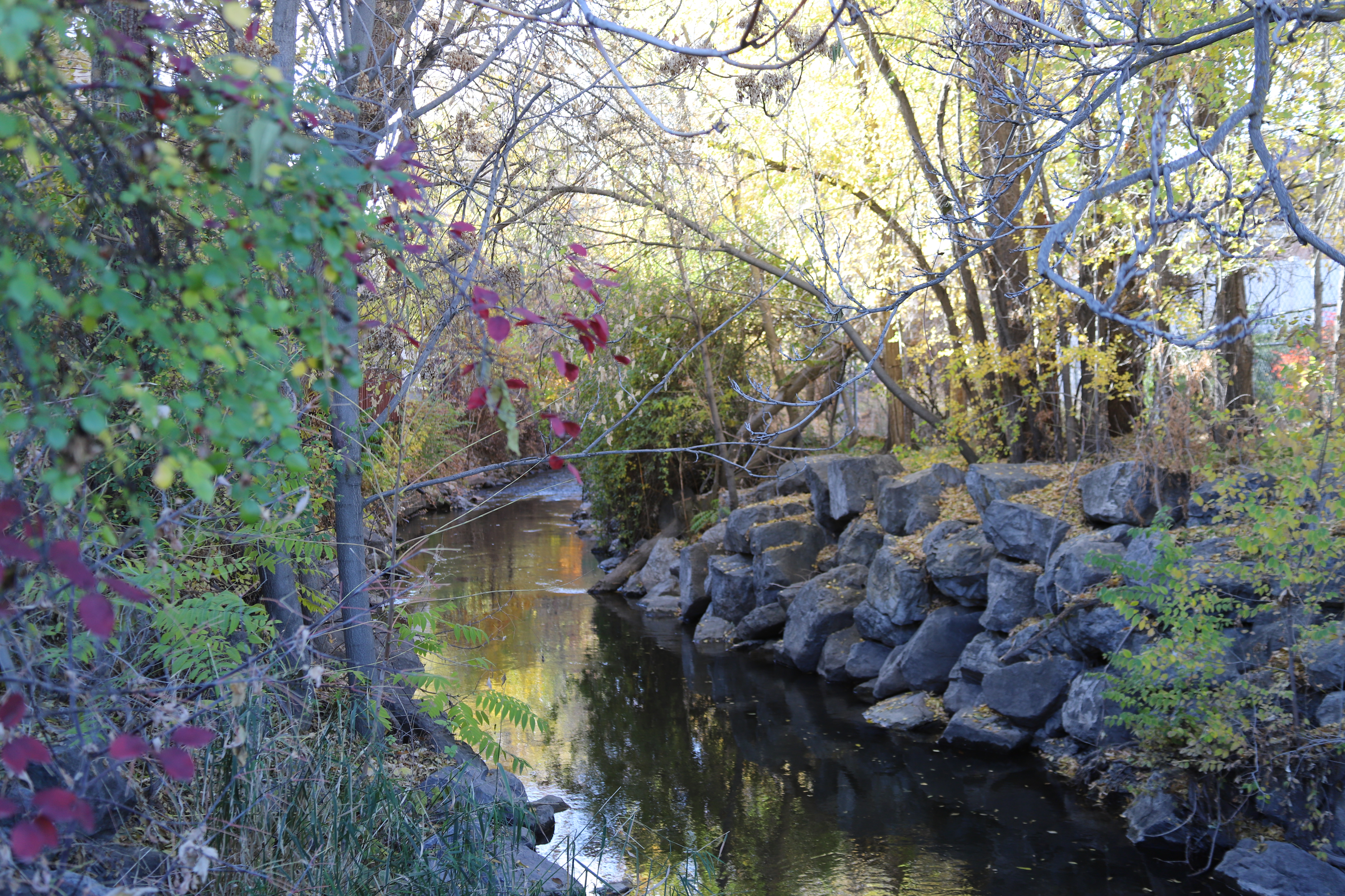 fitts park south salt lake