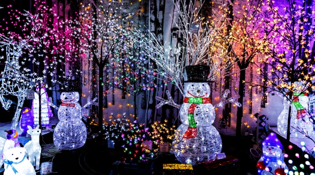 Lights, Sweets, Action...events that bring the holiday spirit to