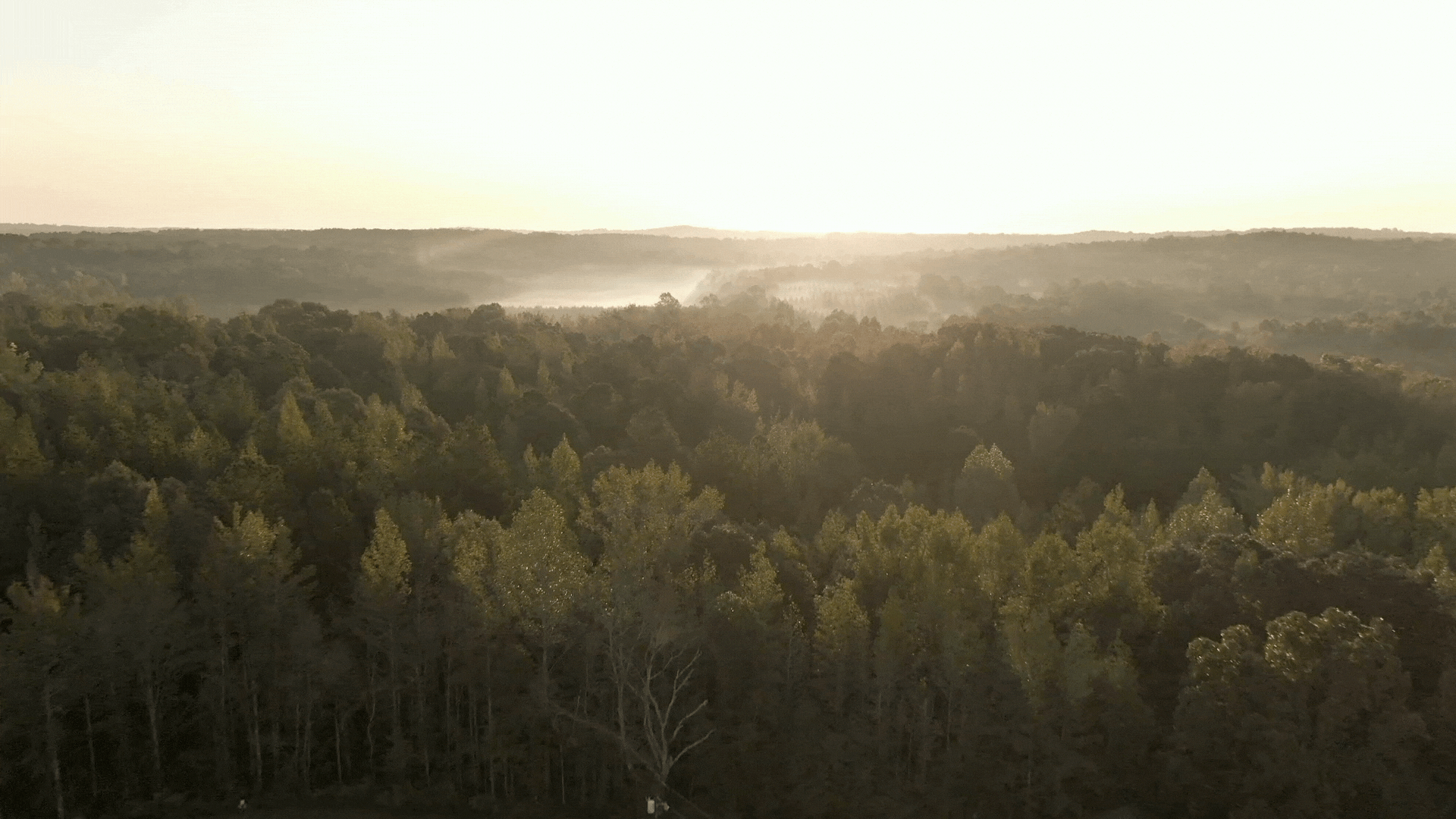 Where Your Journey Home Begins.